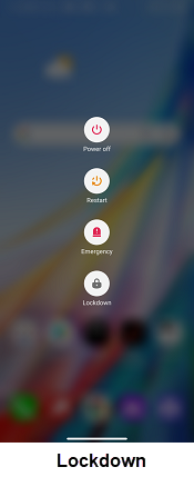 LG Q70 OS 12 Lockdown screenshot