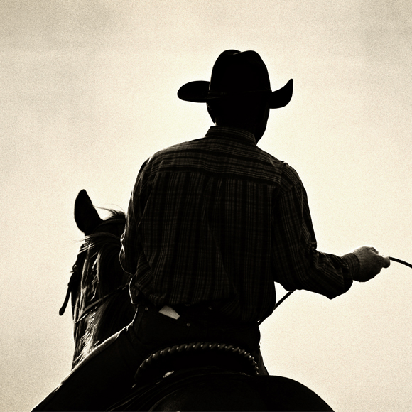 Hi-Tech Wireless Technology Powers 2015 Houston Rodeo