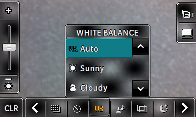 White balance options