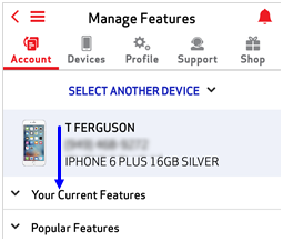 Image: MVM Change Features Screenshot