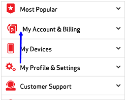 Image: MVM Edit Payment Accounts Screenshot