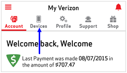 Image: MVM Upgrade Eligibility Screenshot