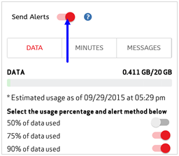 Image: MVM Usage Summary Screenshot