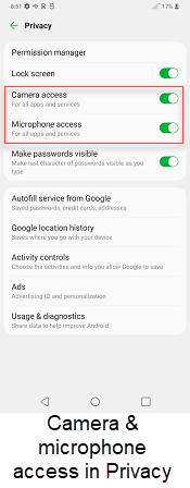 LG G8 ThinQ Privacy screenshot