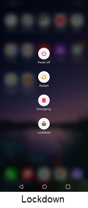 LG G8 ThinQ Lockdown screenshot