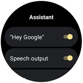 Samsung Galaxy Watch4 Google Assistant screenshot