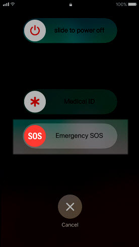 Iphone Emergency Sos Text Example / How To Set Up Emergency Sos And