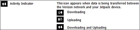 Display Icons view Activity Indicator