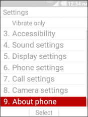 Select About Phone