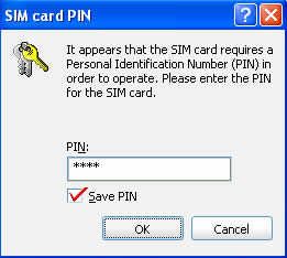 は sim pin と