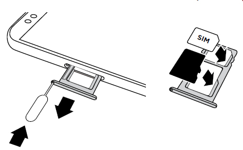 insert SD / Memory Card