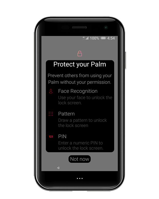 Protege tu Palm
