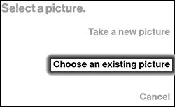 Tap Choose an Existing Picture