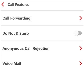 Call features Call features