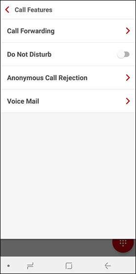 Call Features menu with emphasis on Call Forwarding
