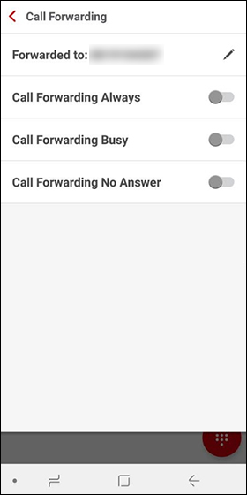 Call Fowarding options