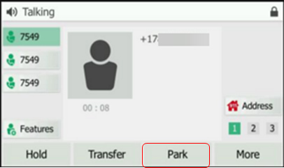 T46 Park a call