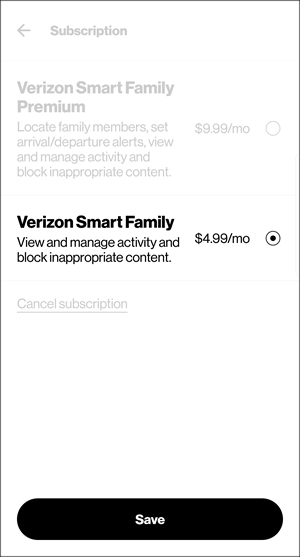 Subscription options with Save