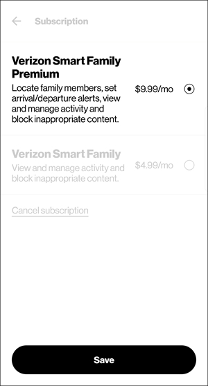 Subscription options with Save