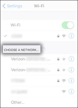 Choose a Network Screen