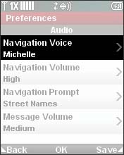 Select Navigation Voice
