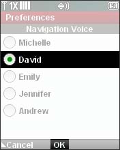 Select a Voice Option