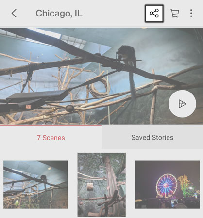 Tap the Share Icon Tap the Share Icon