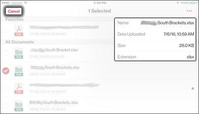 View the Document Information