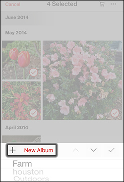 Tap New Album
