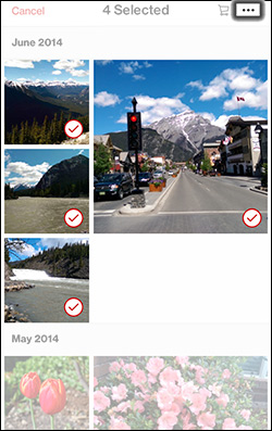 Tap the Contextual Menu Icon