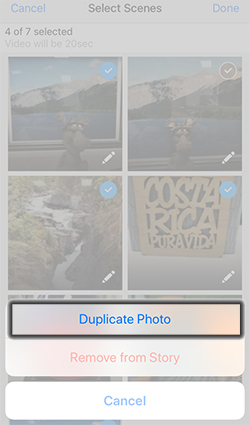 Tap Duplicate Photo