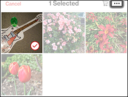 Tap the Contextual Menu Icon