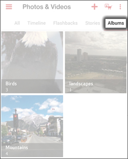 Scroll to Albums