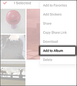Tap Add to Album