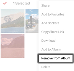 Tap Remove from Album