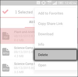 Tap Delete