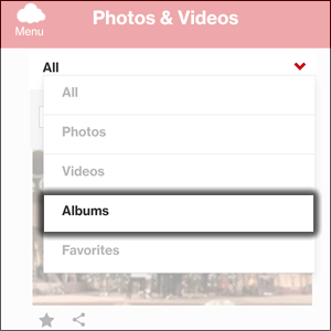 Pulsa Albums