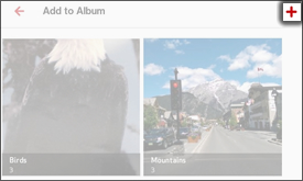 Tap Add a New Album