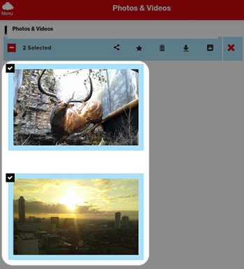 Select a Picture/Video