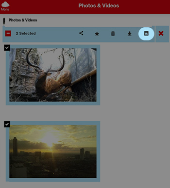 Select the Album Icon