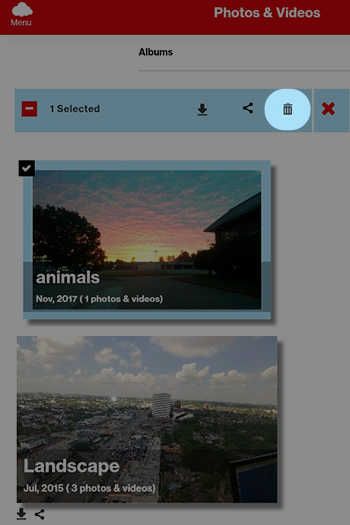 Tap the Delete Icon