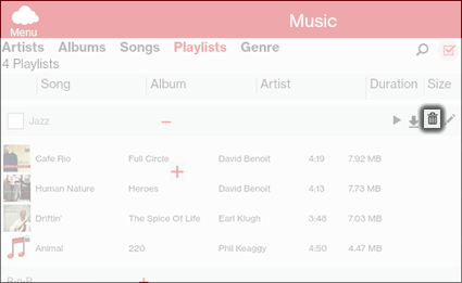 Tap the Delete Playlist Icon