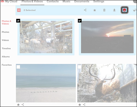 Click the Add to Album Icon Click the Add to Album Icon