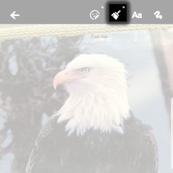 Tap the Paint Icon
