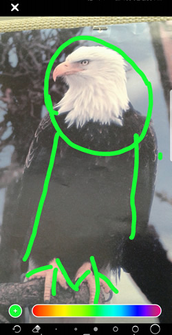 Draw on the Picture
