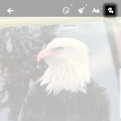 Tap the Sketch Icon