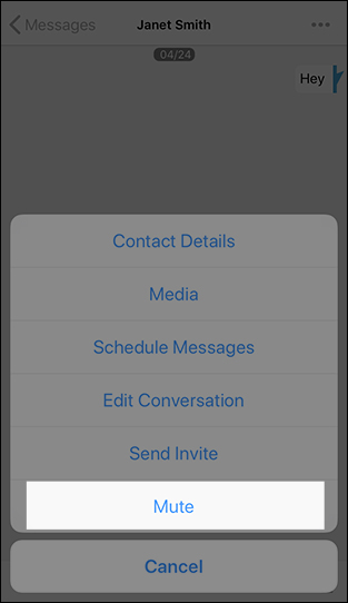 Mute Conversation Mute Conversation