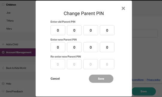 Change pin screen