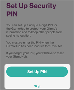 set up security pin