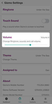 volume controls on app